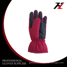 best selling and popular professional ski glove